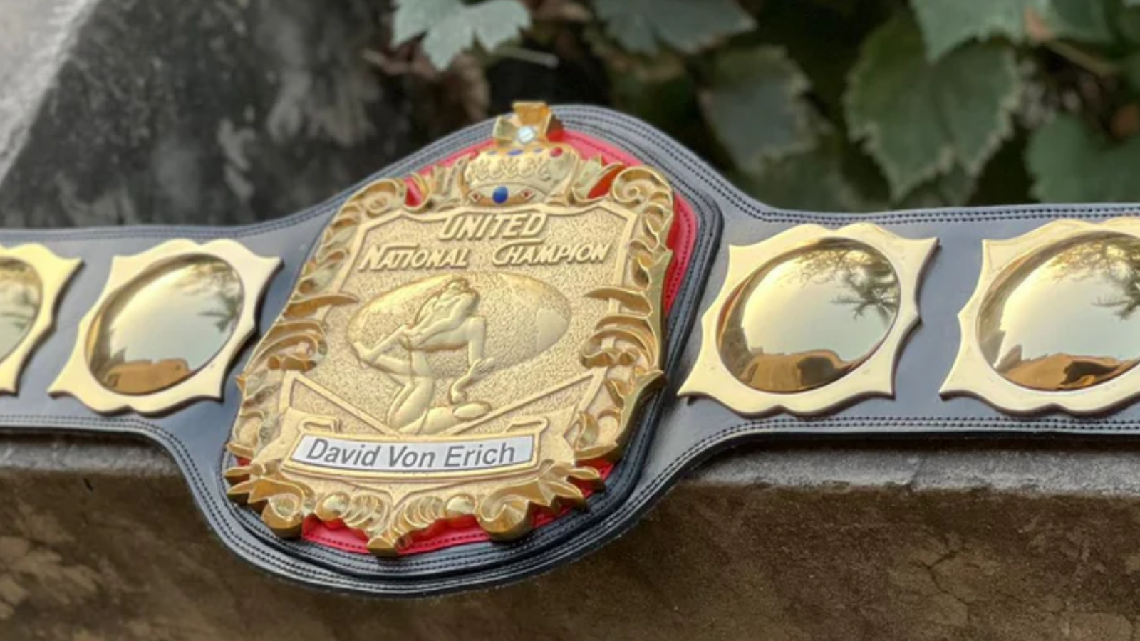 Premium Boxer Belts for Champions