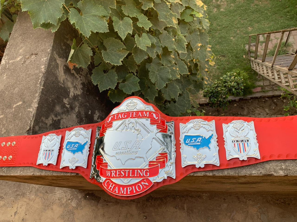 United States Tag Team Championship replica belt, photo 4