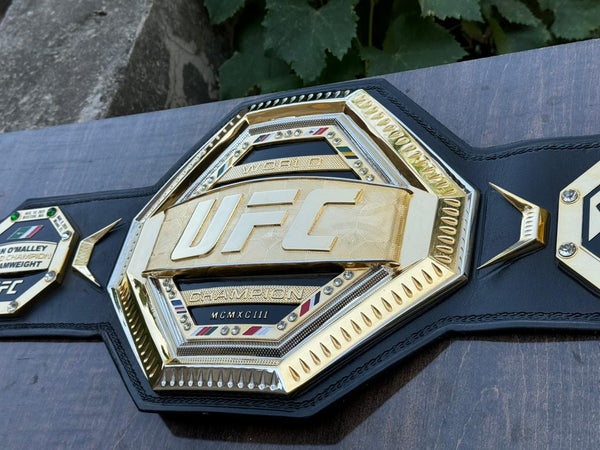 ufc world heavyweight champion