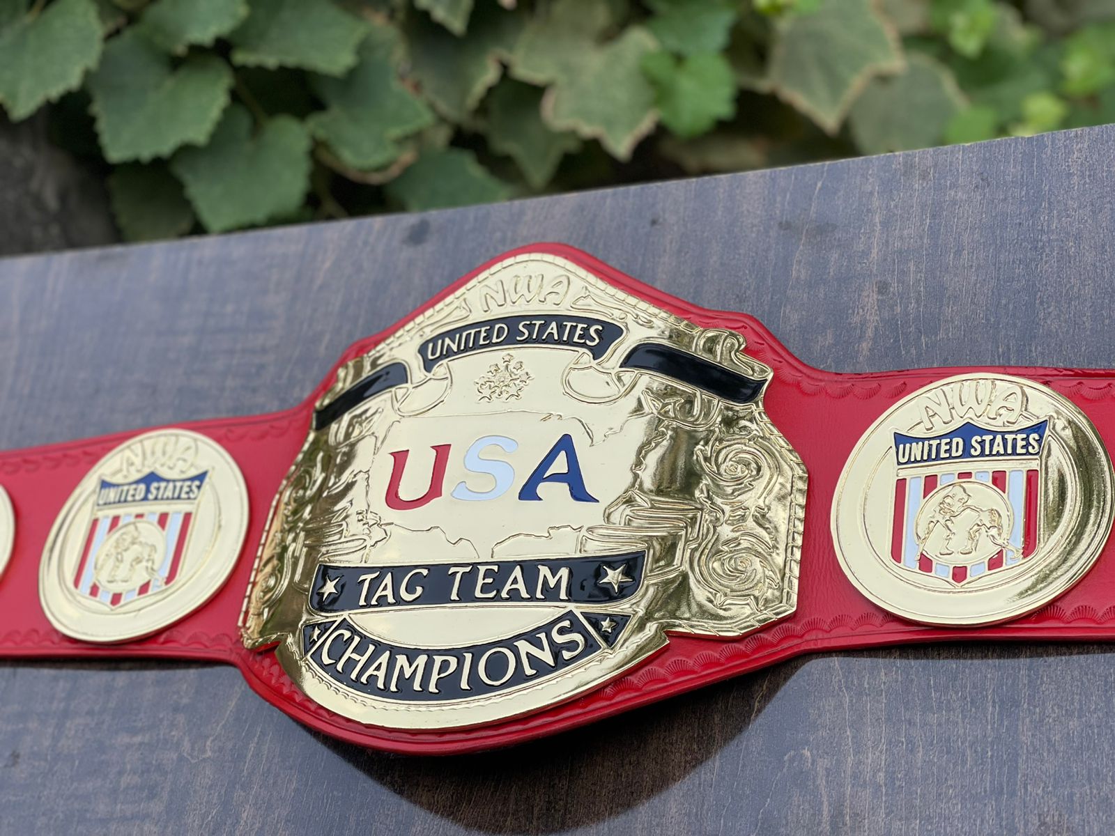 SD Wrestling Belts Collection