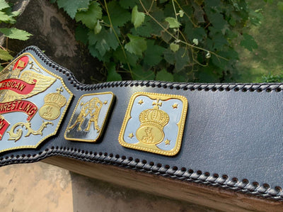 american heavyweight championship