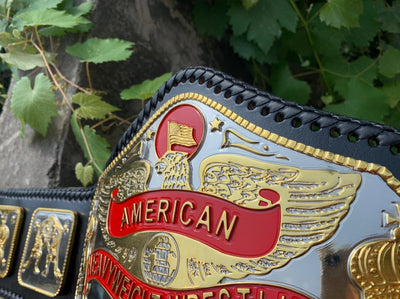 american heavyweight championship