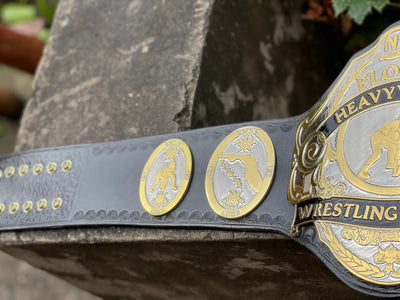 nwa florida heavyweight title