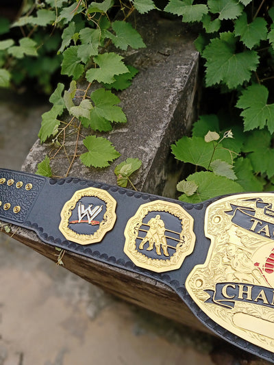 wwe raw tag team championship
