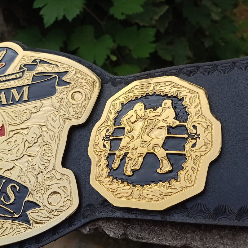 WWE RAW TAGTEAM CHAMPIONSHIP BELT