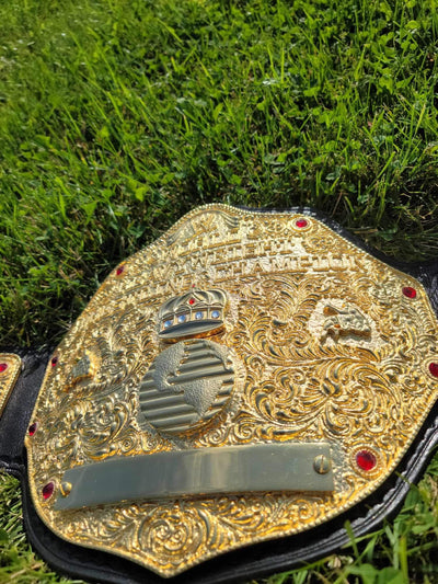 wwe big gold world heavyweight championship