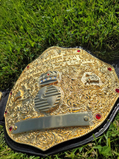 wwe big gold world heavyweight championship