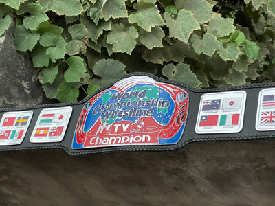 wcw television championship
