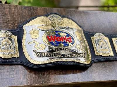 wwf tag team championship