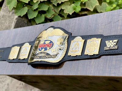 wwf tag team championship