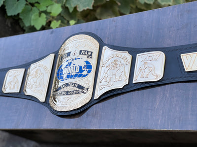 wcw world six man tag team championship
