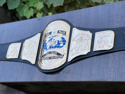wcw world six man tag team championship