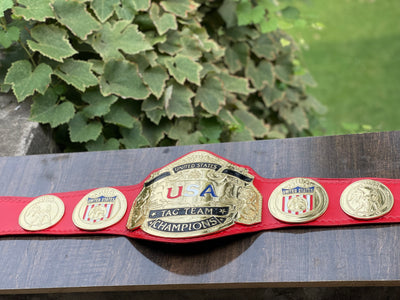 nwa united states tag team championship