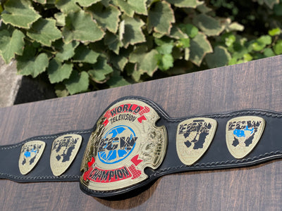 ecw world television championship