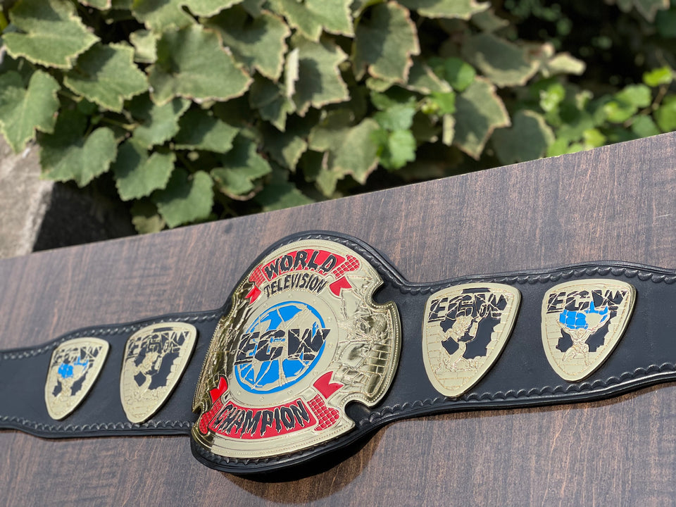 ECW World Television Championship replica belt, angled view, photo 3