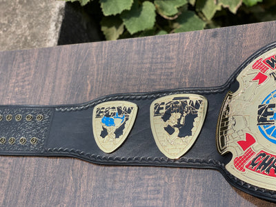 ecw world television championship