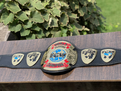 ecw world television championship