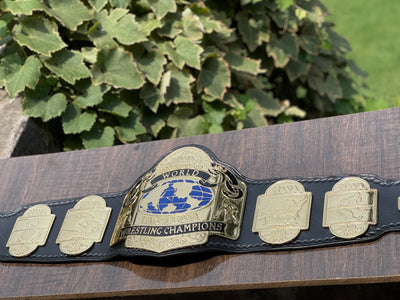 nwa tag team championship