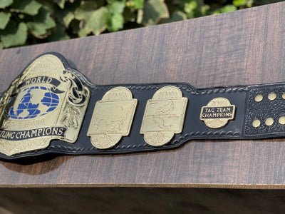 nwa tag team championship