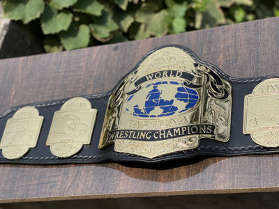 nwa tag team championship