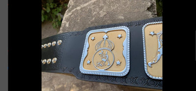 mid south tag team championship