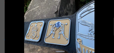 mid south tag team championship