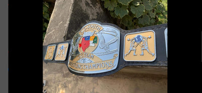 mid south tag team championship