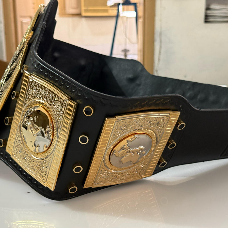 TNA WORLD HEAVYWEIGHT CHAMPION HD BELT