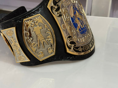 universal championship wrestling