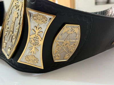 universal championship wrestling