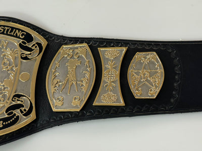 universal championship wrestling