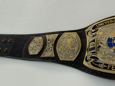 universal championship wrestling