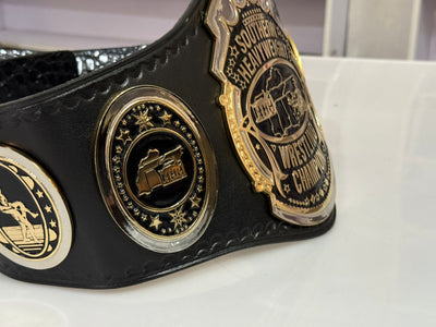 awa southern heavyweight title