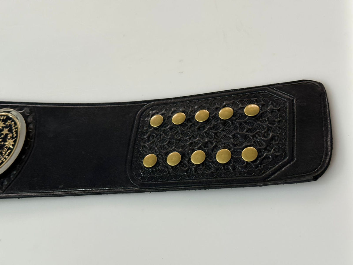 awa southern heavyweight title