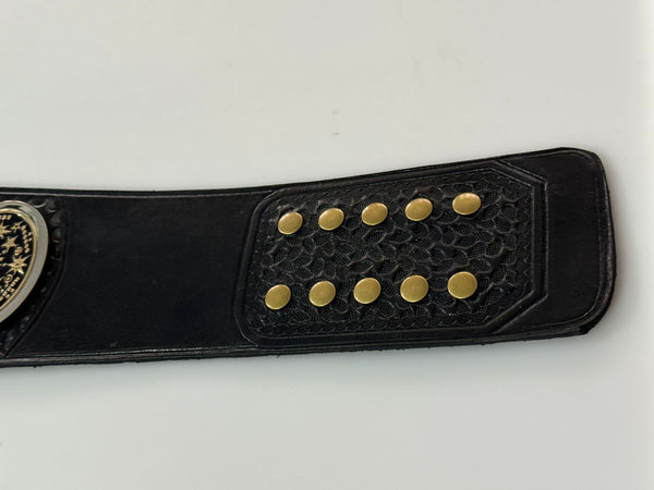 awa southern heavyweight title