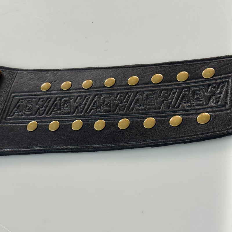 AEW WOMEN'S WORLD WRESTLING CHAMPIONSHIP BELT REPLICA