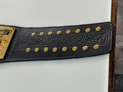 aew women's world championship