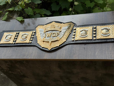 iwgp world heavyweight championship