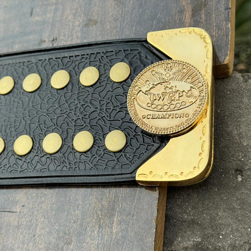 iwgp heavyweight championship v4