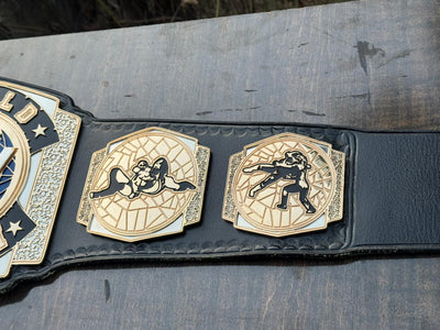 aew women's tag team championship