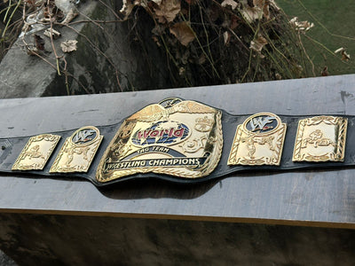 wwf world tag team championship
