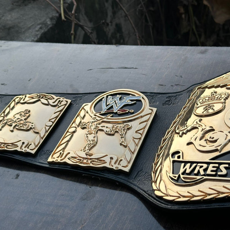 wwf world tag team championship