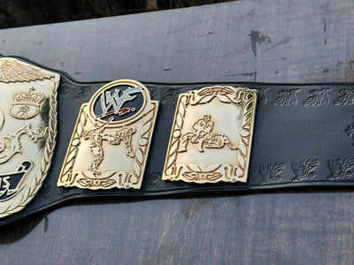 wwf world tag team championship