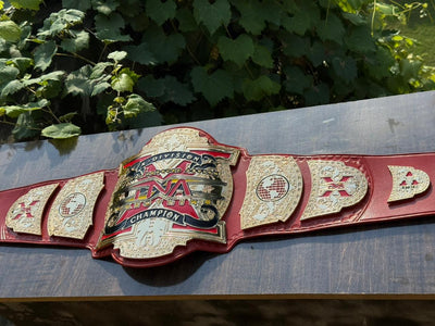 tna x division championship