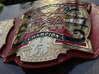 tna x division championship