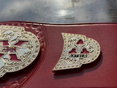 tna x division championship