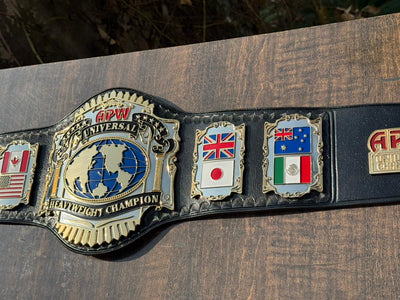 apw universal heavyweight championship