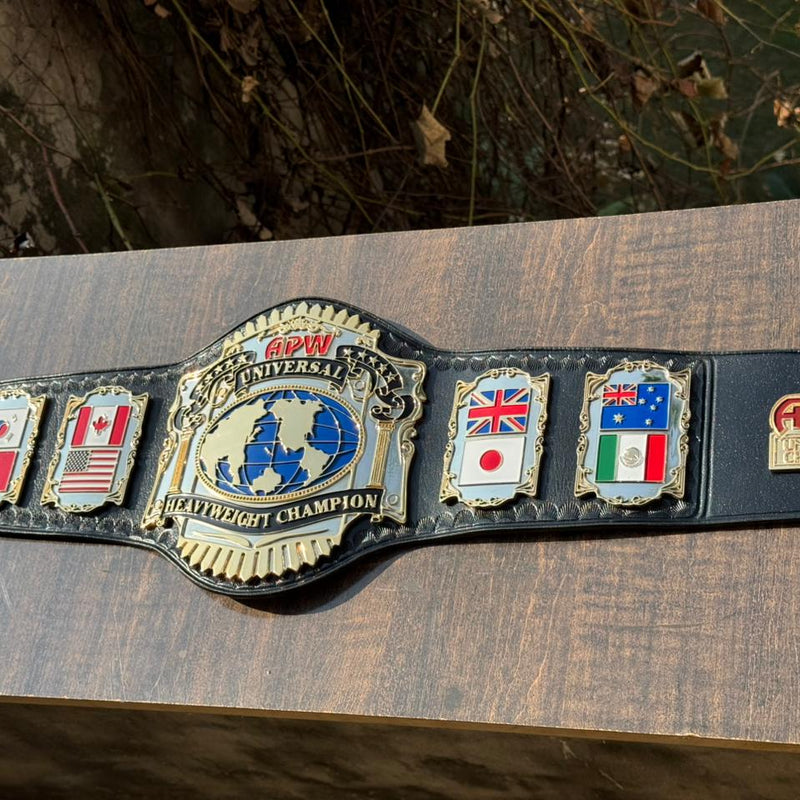 apw universal heavyweight championship