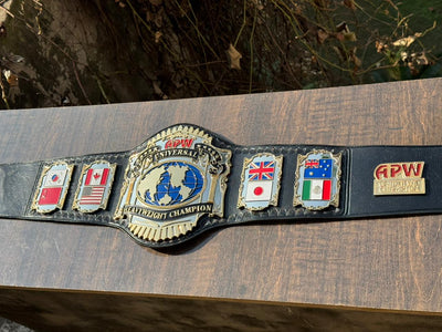 apw universal heavyweight championship