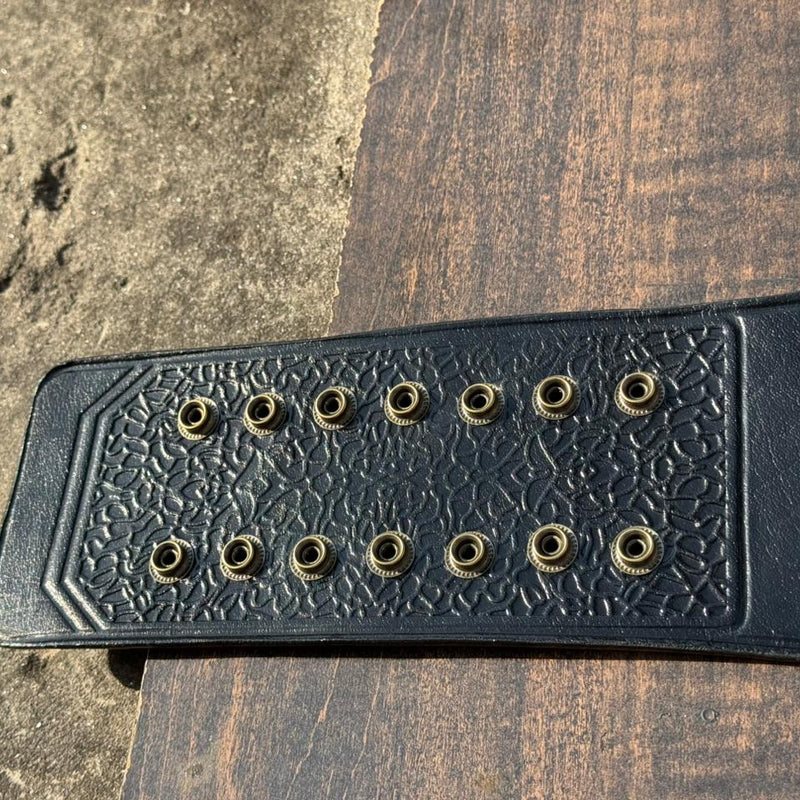 apw universal heavyweight championship